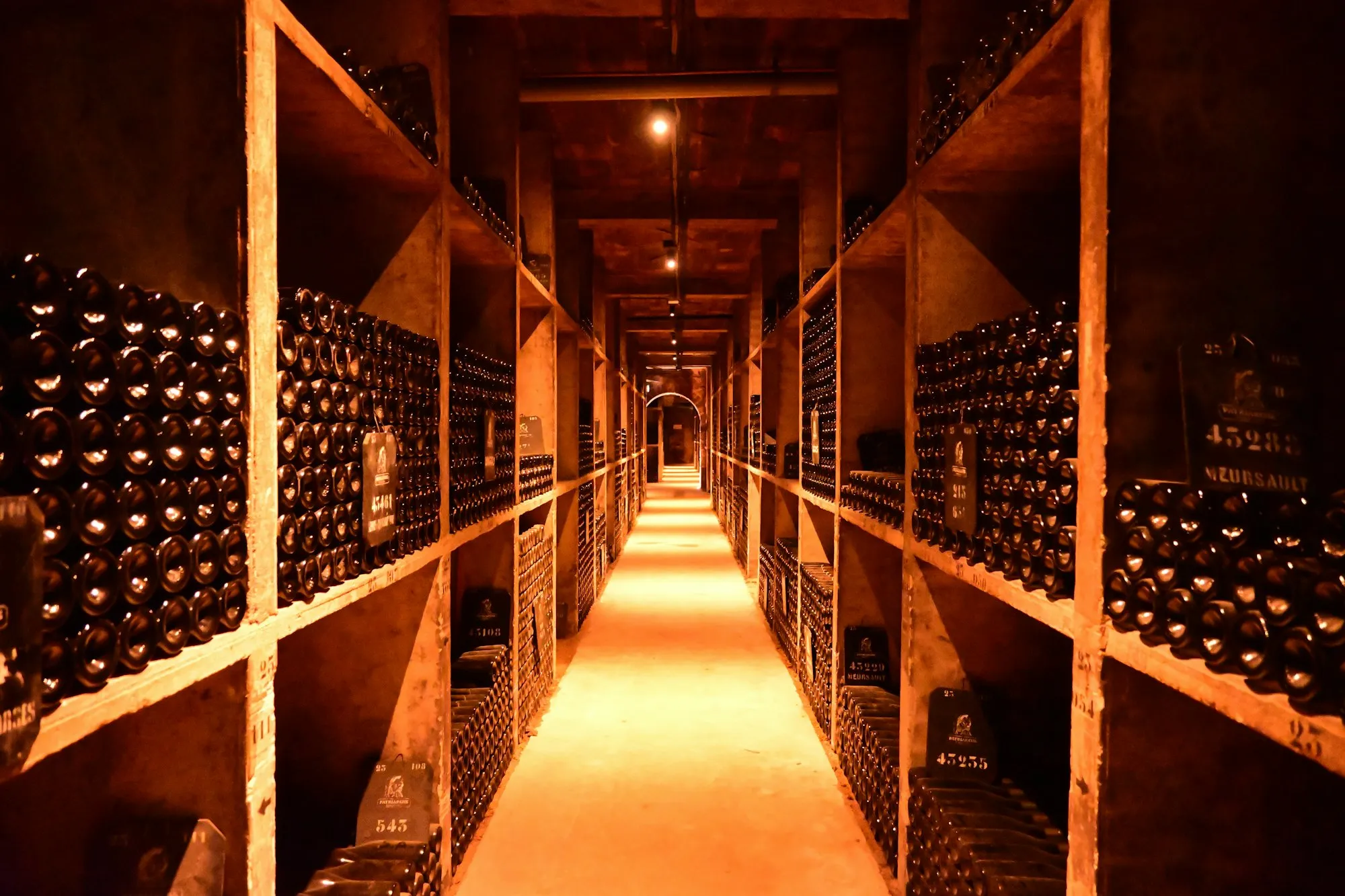 Cellar