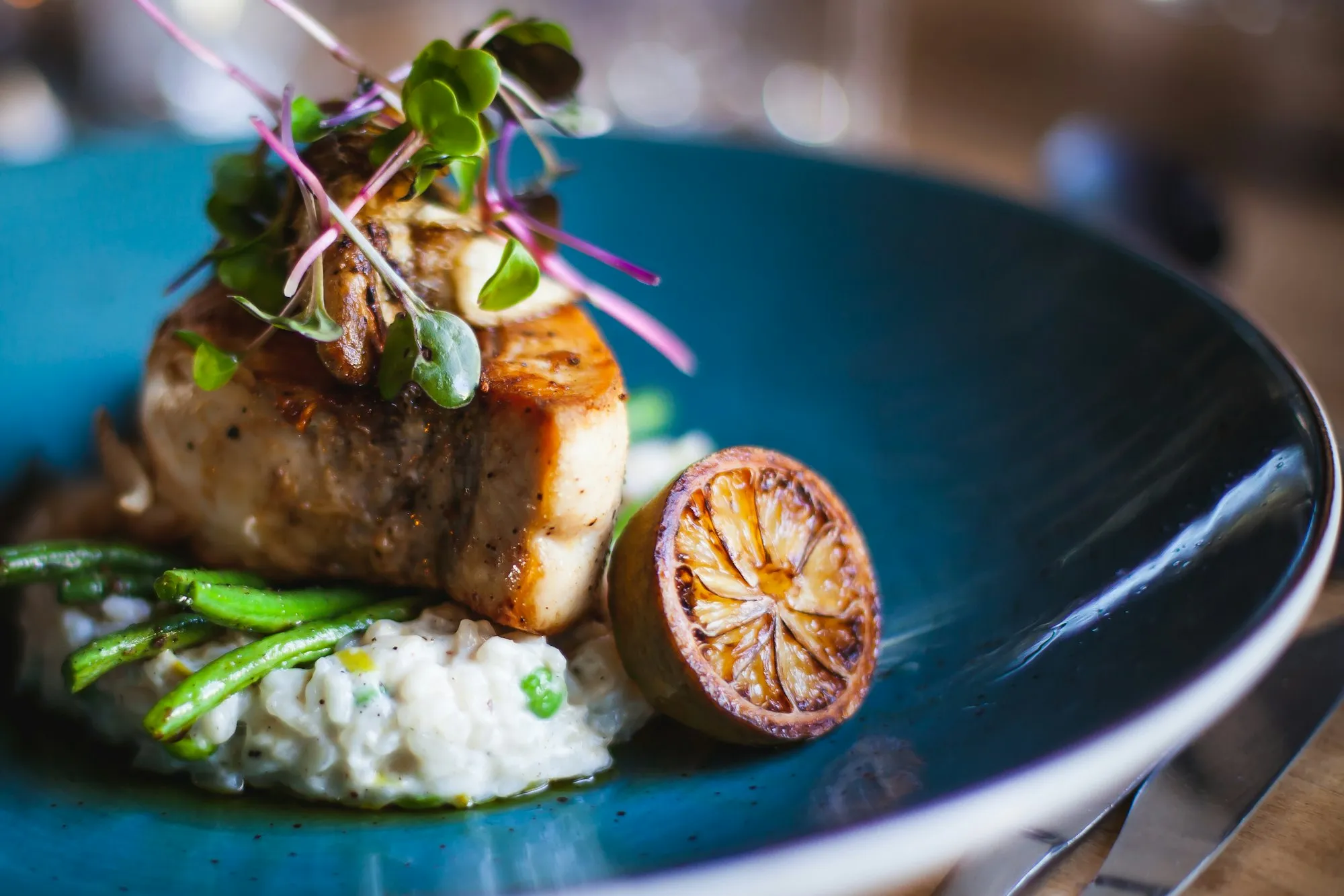 Dish fish